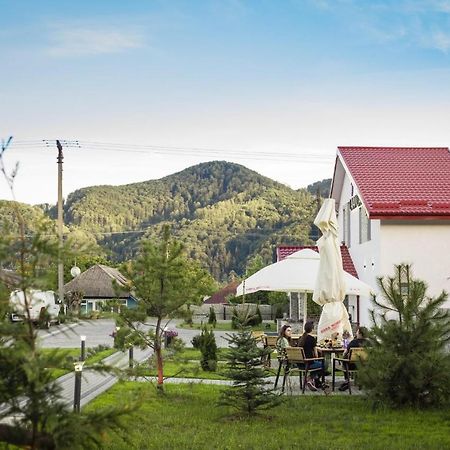 Pensiunea Lavanda, Piatra-Neamt เปียตราเนียมซ์ ภายนอก รูปภาพ