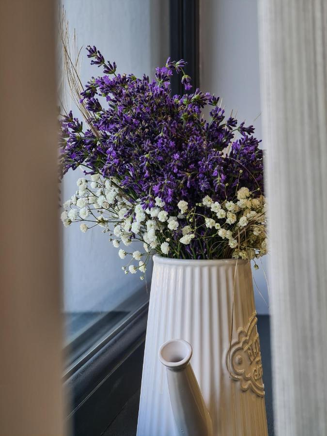 Pensiunea Lavanda, Piatra-Neamt เปียตราเนียมซ์ ภายนอก รูปภาพ