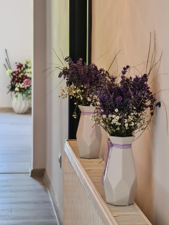 Pensiunea Lavanda, Piatra-Neamt เปียตราเนียมซ์ ภายนอก รูปภาพ