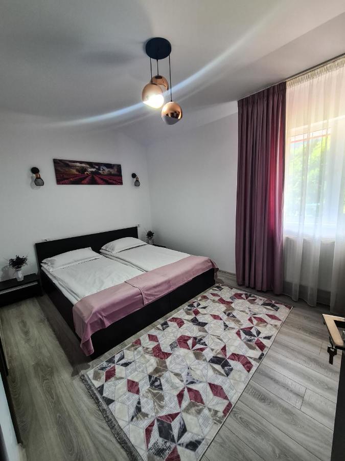 Pensiunea Lavanda, Piatra-Neamt เปียตราเนียมซ์ ภายนอก รูปภาพ