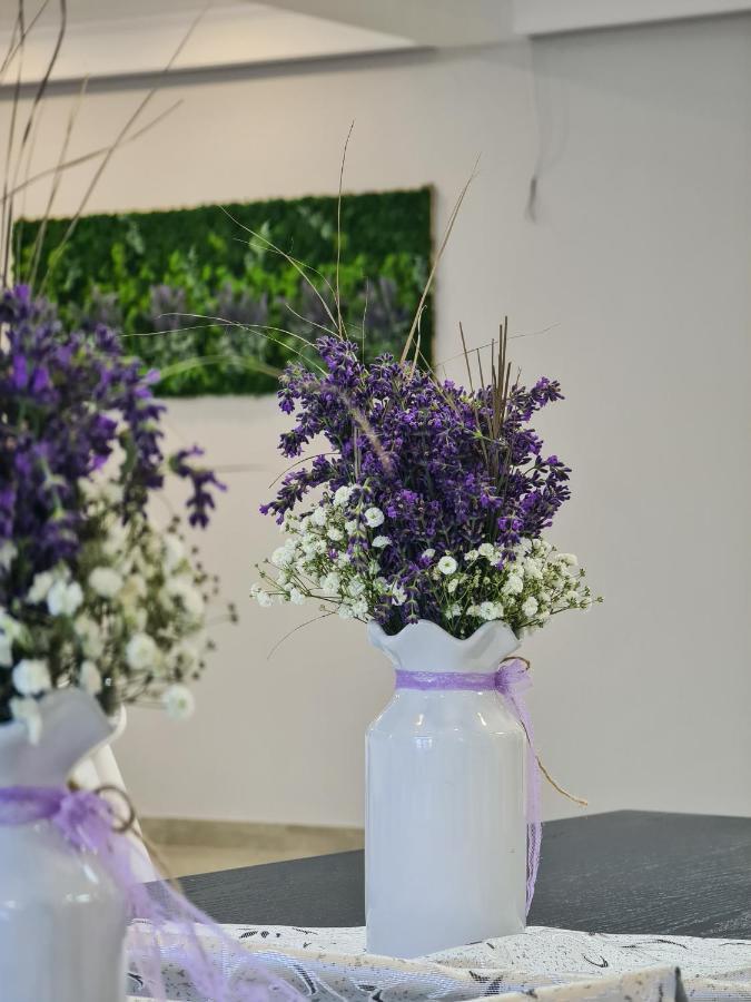 Pensiunea Lavanda, Piatra-Neamt เปียตราเนียมซ์ ภายนอก รูปภาพ