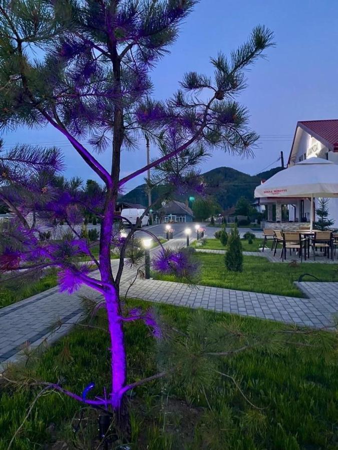 Pensiunea Lavanda, Piatra-Neamt เปียตราเนียมซ์ ภายนอก รูปภาพ